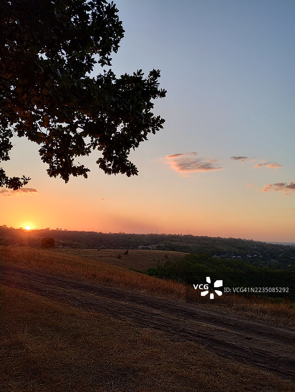 金色时光洒在广阔的田野上，树木的剪影映衬着戏剧性的落日天空图片素材