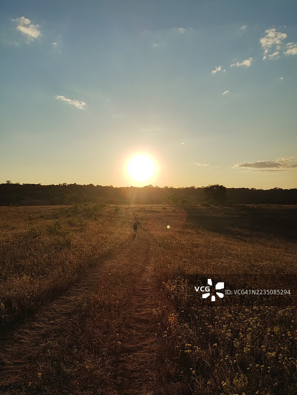 金色日落映照在广阔的田野上，一位行走在小路上的人，营造出宁静温暖的自然风光图片素材