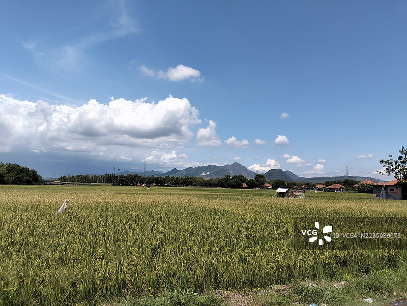 辽阔的农田在明亮的蓝天和远处的山脉下图片素材