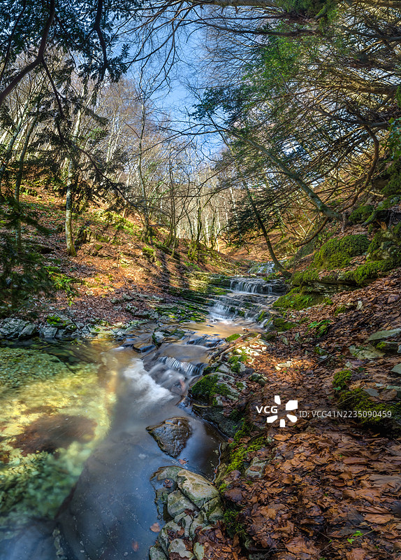 一幅令人惊叹的长时间曝光照片，展示了一条瀑布在郁郁葱葱的森林中倾泻而下，捕捉了自然的宁静之美，意大利图片素材