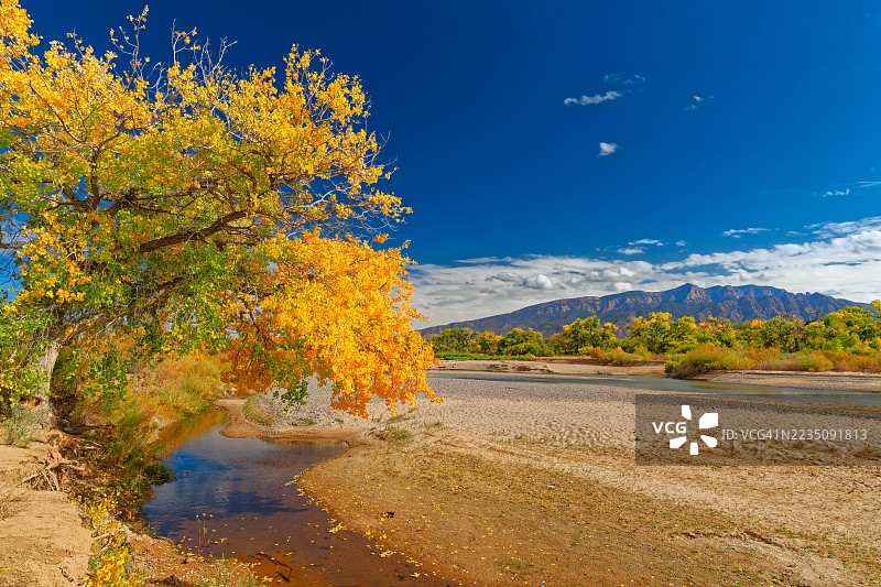 五彩斑斓的秋天色彩装点着河边的树木，背景是蓝天和山脉，位于美国新墨西哥州的里奥兰乔。图片素材