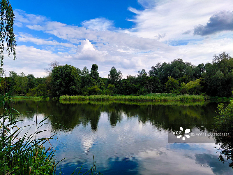 宁静的自然风光，平静的湖面映照着蓝天和郁郁葱葱的树木图片素材