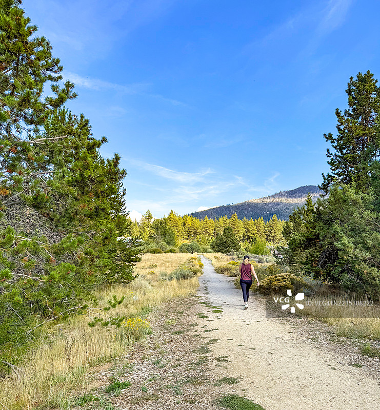 在塔霍湖的拉贝草地（又名拉姆瓦塔历史小径）上行走的女性图片素材