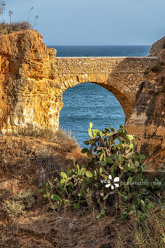 连接悬崖的石桥与大西洋和仙人掌，埃斯图丹特斯海滩，拉各斯，阿尔加维，葡萄牙 – 2025年8月31日图片素材