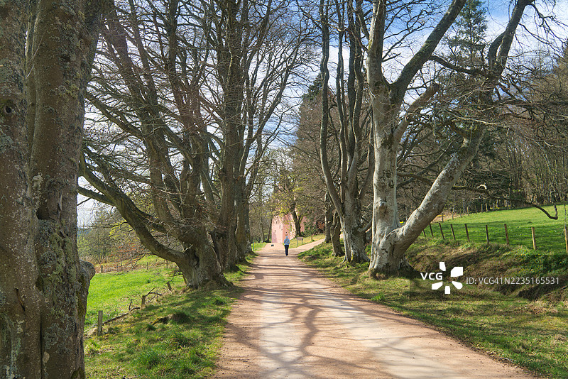 向北望去，古老的车道通向著名的粉色克雷吉瓦城堡（1626年）。阿尔福德，阿伯丁郡，高地地区，苏格兰，英国图片素材