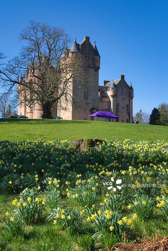俯瞰春天水仙花的著名菲维城堡，位于图里夫附近的菲维，阿伯丁郡，苏格兰高地地区。图片素材