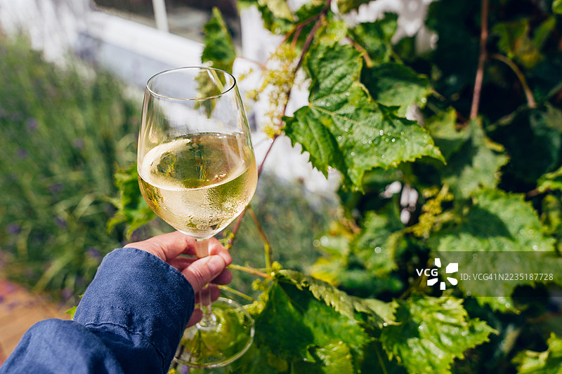 女人手持一杯冰镇白葡萄酒图片素材