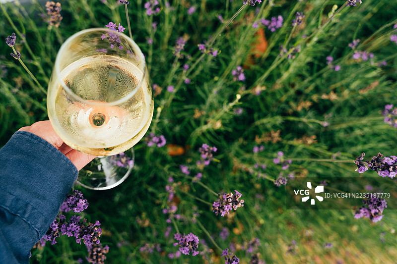 女人手持一杯冰镇白葡萄酒图片素材