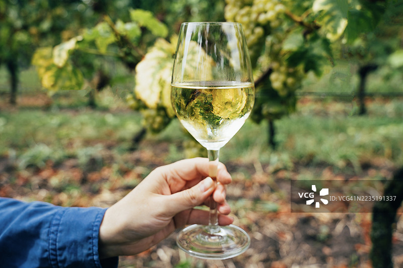 女人手持一杯冰镇白葡萄酒图片素材