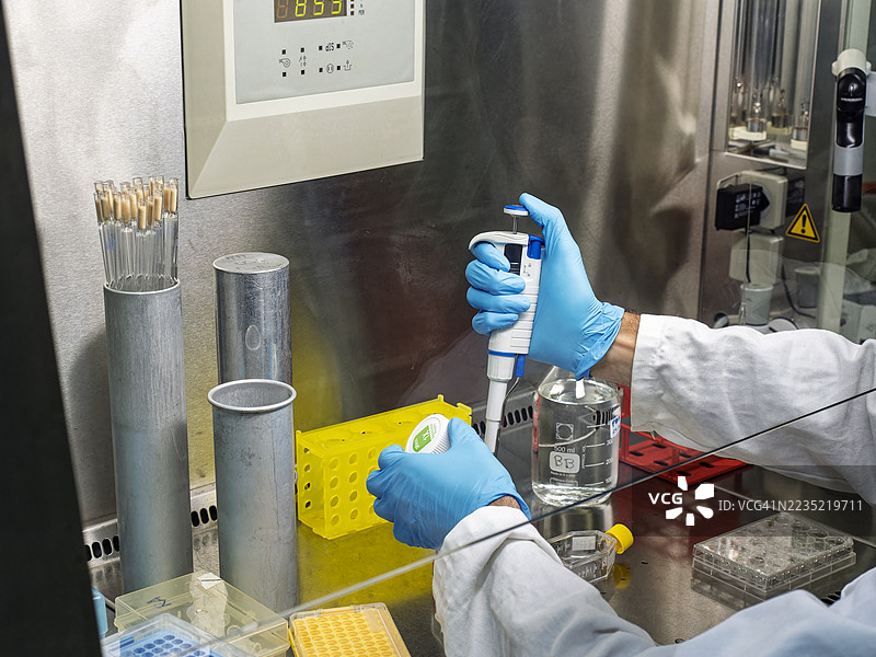 手持移液器的科学家在层流柜中进行人类细胞培养。图片素材