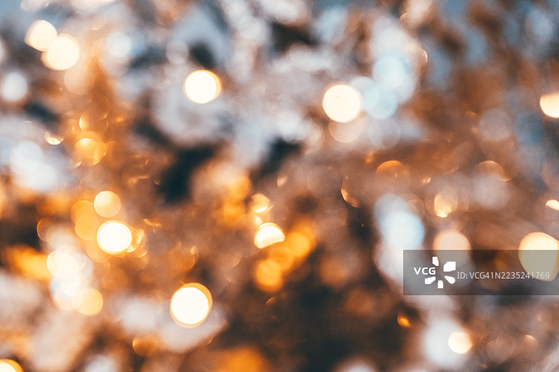 冬天的金色静谧图片素材