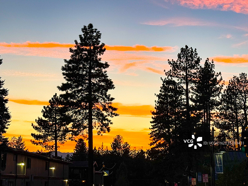 背光的松树和1960年代的星尘旅馆招牌，位于塔霍湖大道上图片素材