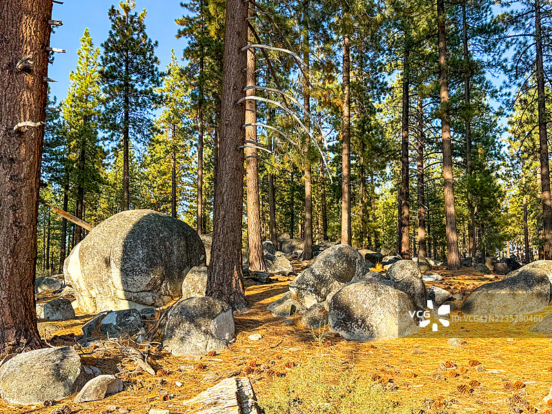 拉贝草地，也称为拉姆瓦塔历史步道，太浩湖图片素材