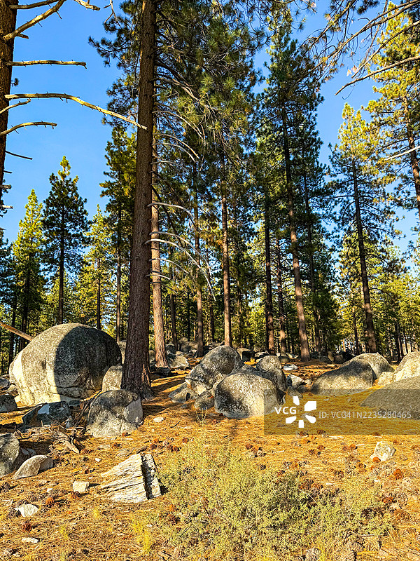 拉贝草地，也称为拉姆瓦塔历史步道，太浩湖图片素材