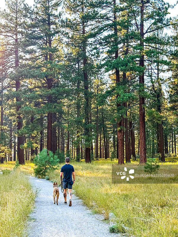 在拉贝草地（又名拉姆瓦塔历史小径）湖 Tahoe 的人和狗在步道上散步图片素材