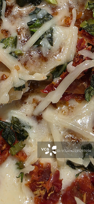 意大利美式印度风味的烤蔬菜披萨图片素材