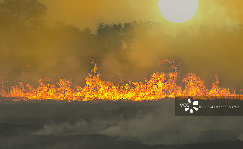 太阳，气候危机和灾难性热浪的全球变暖，气候变化，太阳和燃烧，热浪炙热的太阳图片素材