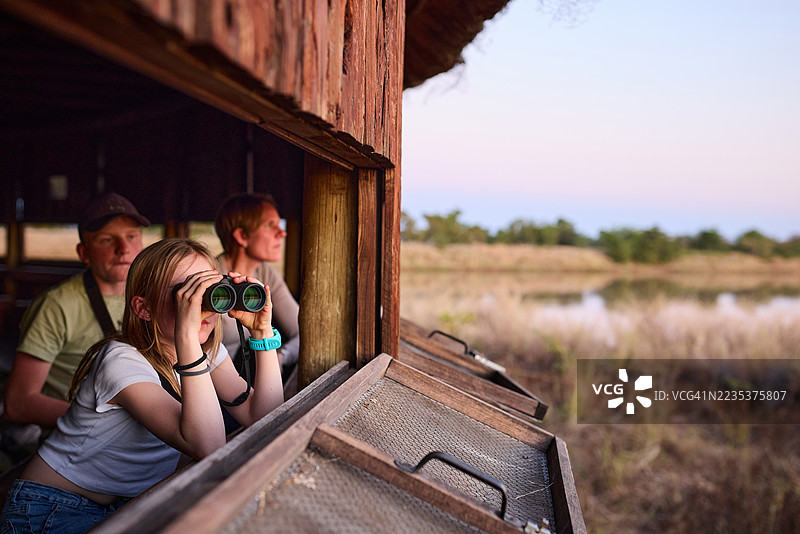 家庭在克鲁格国家公园的隐蔽处观察水坑附近的野生动物图片素材