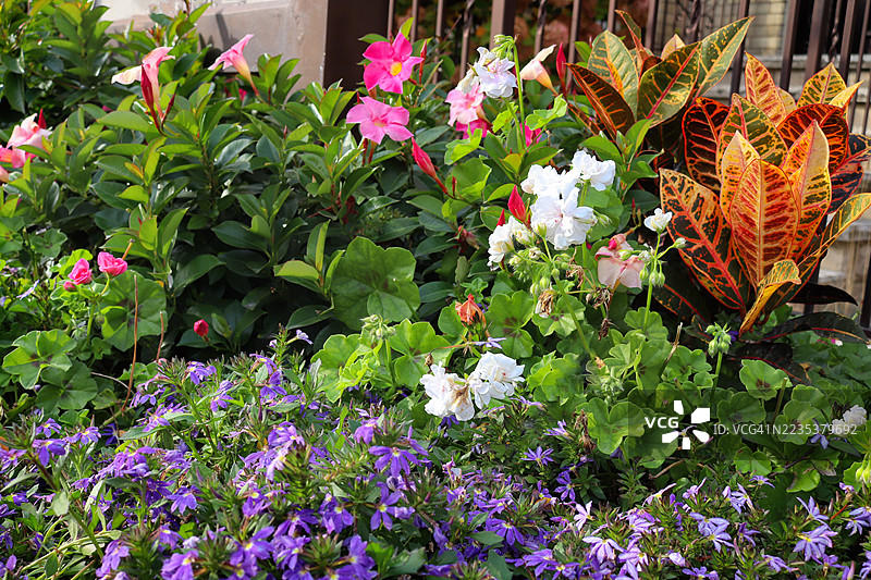 秋季奇幻花园图片素材