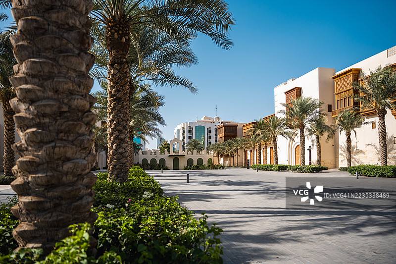 阿尔巴拉德广场的棕榈树小径与现代建筑图片素材