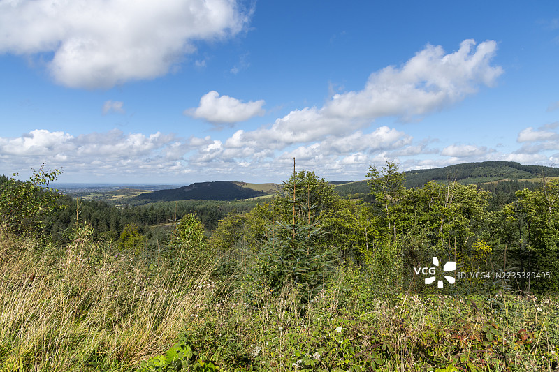 麦克尔斯菲尔德森林，柴郡，英格兰图片素材
