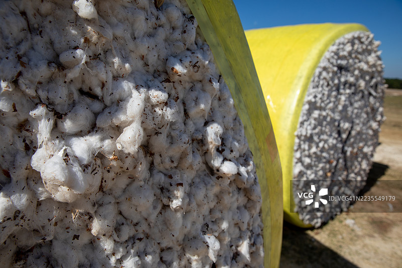 农场上的原棉 bale图片素材