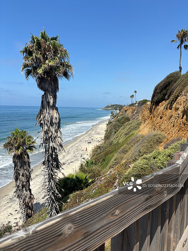 阳光明媚的日子里，清澈蓝天下，棕榈树环绕的沙滩和辽阔的海洋美景图片素材