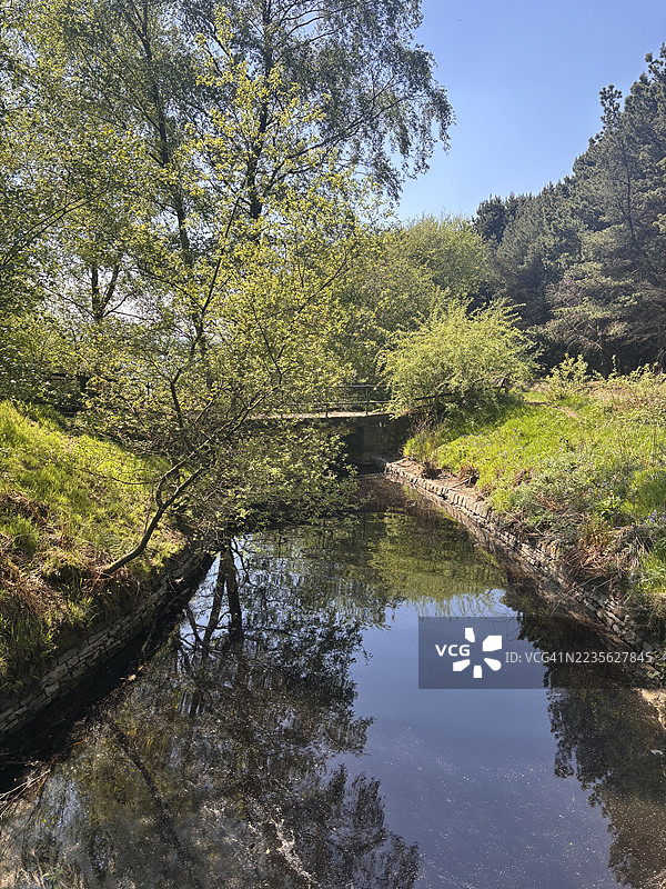 宁静的小溪流经郁郁葱葱的森林，旁边有一座小桥图片素材