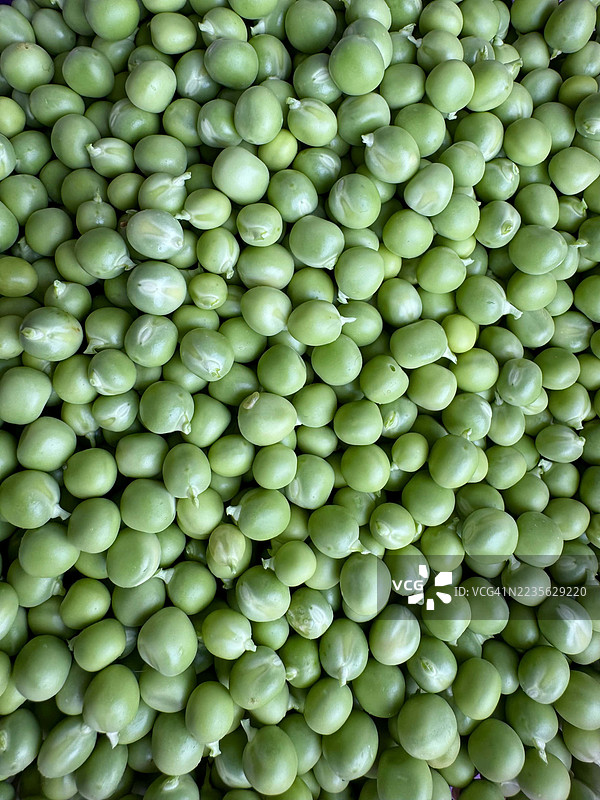 鲜艳的全景照片，展现新鲜绿豌豆的自然纹理和色彩图片素材