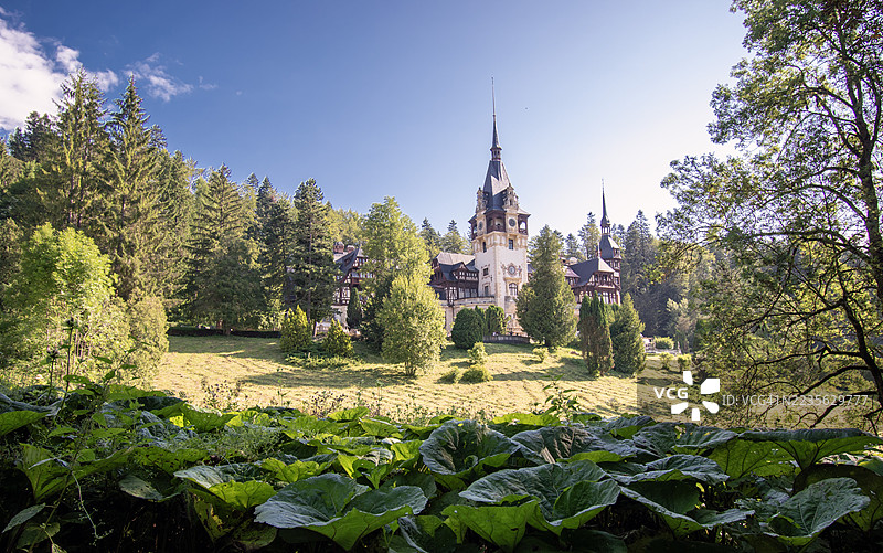 在罗马尼亚锡纳亚，阳光明媚的日子里，佩莱斯城堡坐落在郁郁葱葱的绿树丛中，锡纳亚，罗马尼亚图片素材