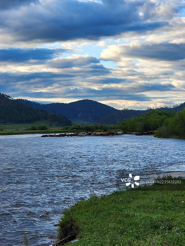 一群野马在广阔的自然景观中穿越一条宽阔的河流，天空布满戏剧性的云彩。图片素材