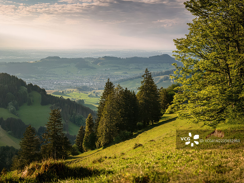 郁郁葱葱的绿色山坡上散布着树木，俯瞰着广阔的山谷和远处的小镇，天空明亮，位于瑞士的费尔森艾格。图片素材
