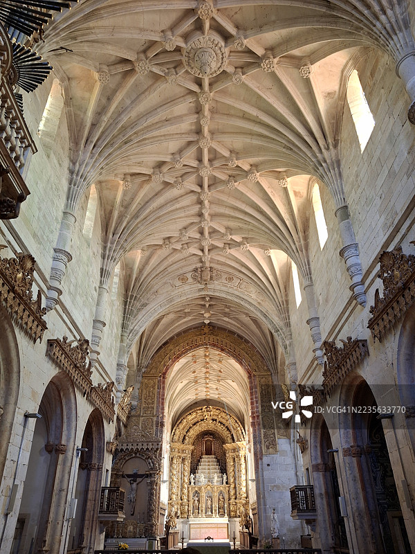从低角度看历史悠久的教堂内部华丽的拱顶和祭坛，展示了复杂的建筑细节和金色装饰，巴尔塞洛斯，葡萄牙图片素材