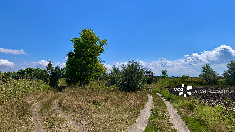 两条分岔的土路蜿蜒穿过绿色田野，蓝天上飘着白云，乌克兰图片素材