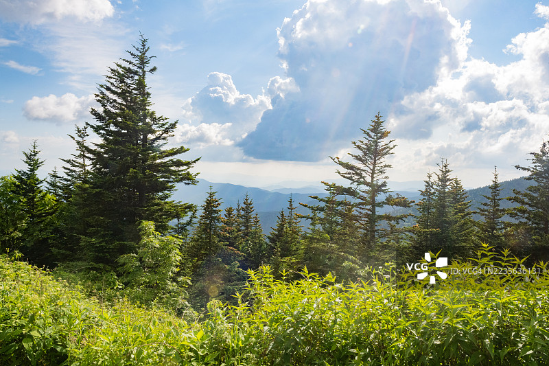 田纳西州大烟山国家公园的美丽景色图片素材