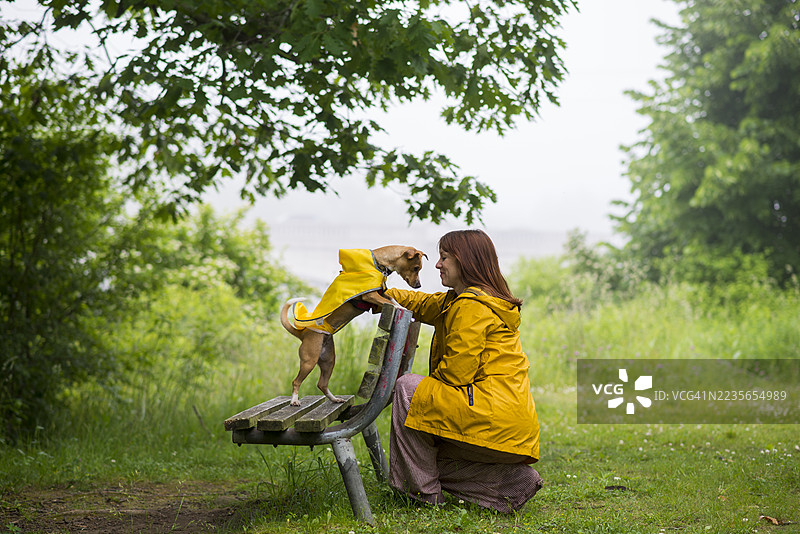 在同一水平上图片素材