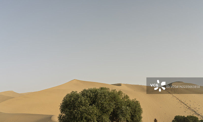 中国敦煌鸣沙山沙丘与绿洲树木图片素材