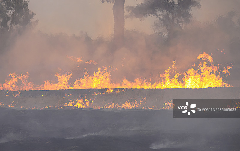气候变化、全球变暖、太阳风暴、气候危机和灾难性热浪、太阳以及燃烧热浪的炙热太阳所导致的全球沸腾图片素材