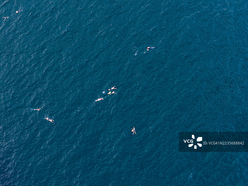 海洋游泳者图片素材