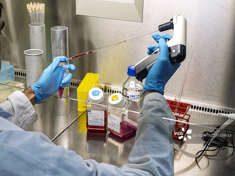 科学家的手部特写，手持移液管在层流柜中处理人类细胞培养。图片素材