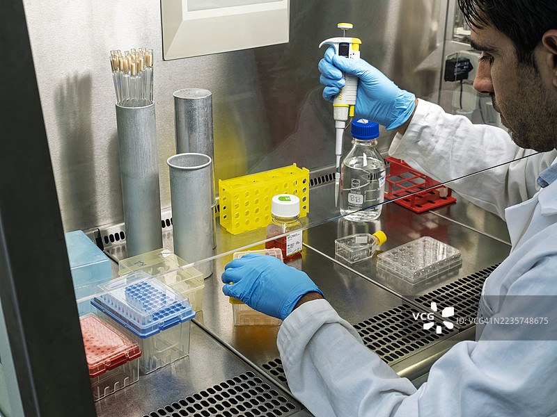 科学家在层流柜中进行实验，处理人类细胞培养。图片素材