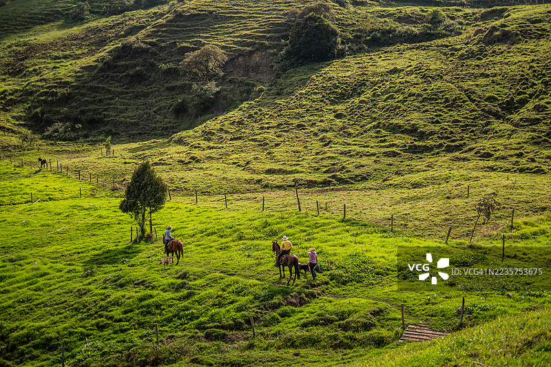 哥伦比亚昆迪纳马卡省，一家农户骑着马穿过田野图片素材