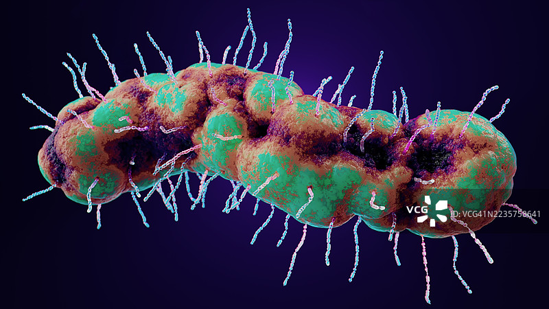 高分辨率3D渲染下的生动细菌微观视图图片素材