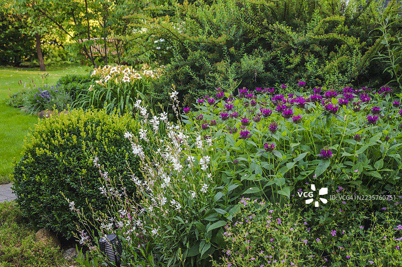 德国家庭花园的夏季时光图片素材