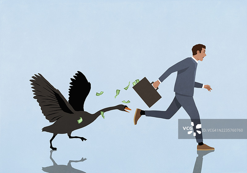 黑天鹅追逐着拿着钱公文包的商人图片素材