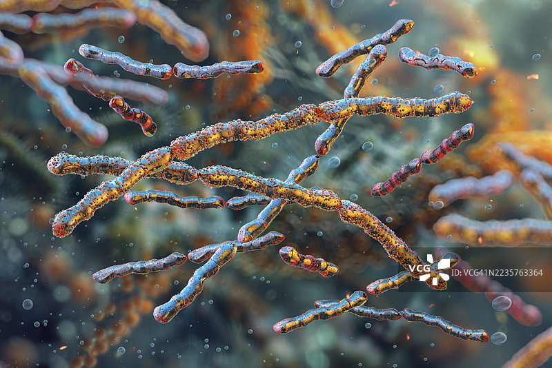 保加利亚乳杆菌细菌插图图片素材