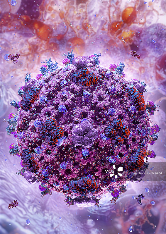 单纯疱疹病毒插图图片素材