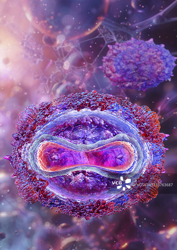 Mpox病毒插图图片素材