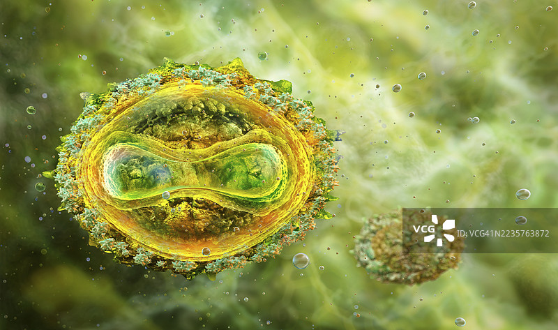 牛痘病毒插图图片素材