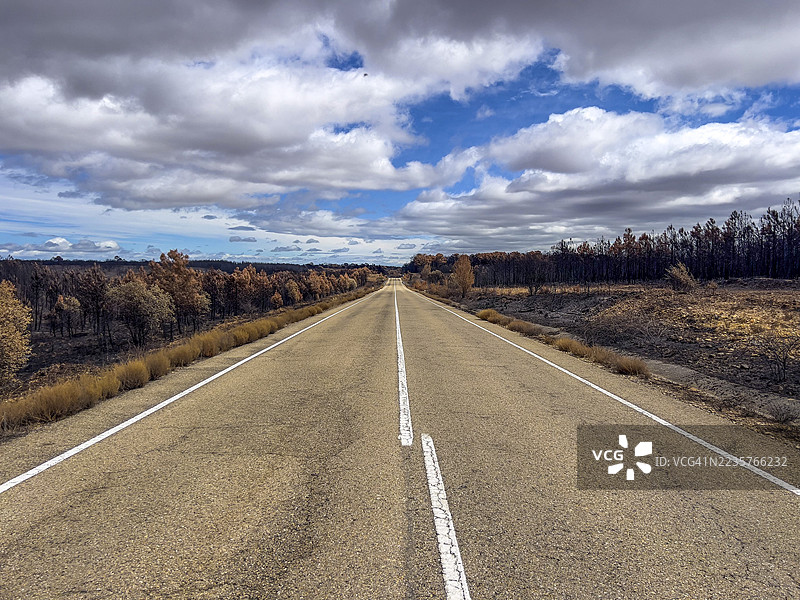 一条两旁有烧焦树木的道路图片素材